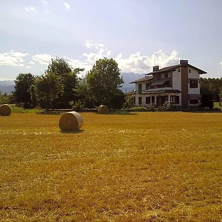 I 99 Ulivi