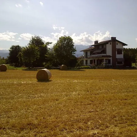 I 99 Ulivi * Cavour