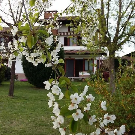 I 99 Ulivi * Cavour