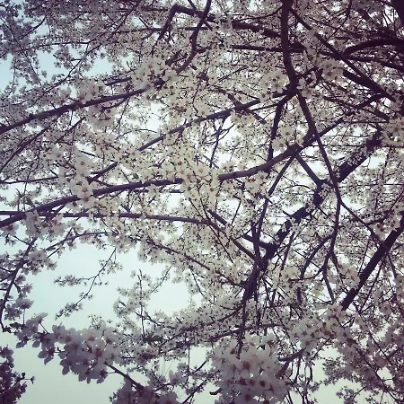 ベッド・アンド・ブレックファスト I 99 Ulivi 3*