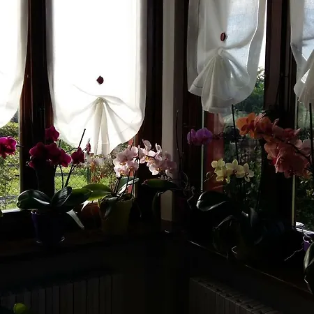 I 99 Ulivi Bed & Breakfast